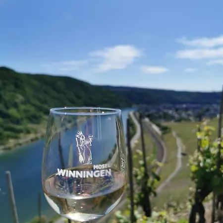 Ferienwohnung Auszeit Rhein-Mosel Waldesch Exterior foto